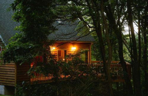 Cheerful Two Bdrm Cabin with Hot Tub & Pet Friendly - Foto 41