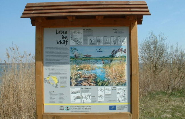 on Grimnitzsee With Lake Views - Foto 15