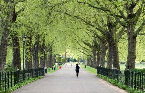 1 Bed-park View-balcony-wifi-pet Friendly - Foto 36