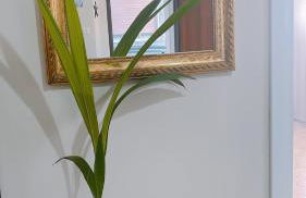 La casa di Fra e Pit - Foto 9