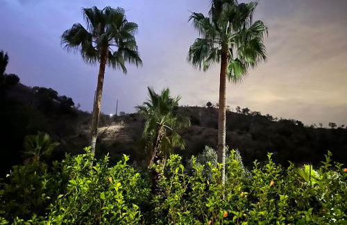 Authentic Luxury Villa in Oasis with Pool close to Malaga - Foto 26