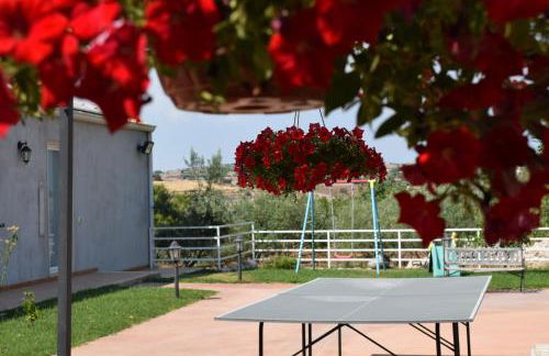 Azienda Agrituristica e Didattica CrauNari - Foto 64