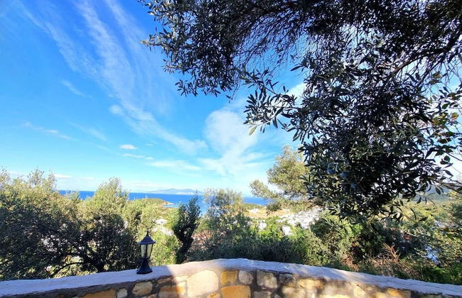 Sole Foca ( Ages 12+ ) - Foto 64