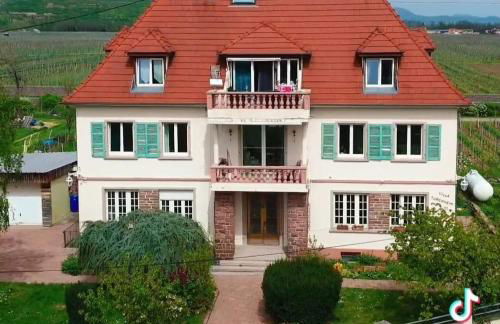 Gite Villa Turckheim - Foto 1