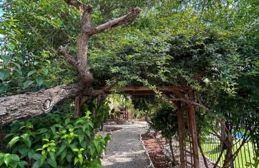 Finca Vitoria - Foto 14