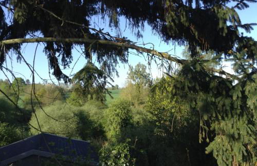 The Grange - Foto 13