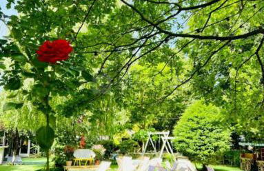 Proche Paris et Disneyland - Foto 28