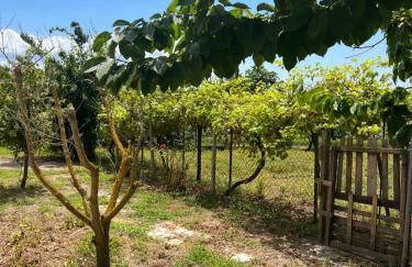 Monastiraki Villa - Foto 8