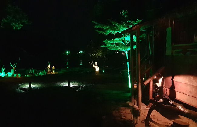 Cupido Beach SPA Resort - Foto 16