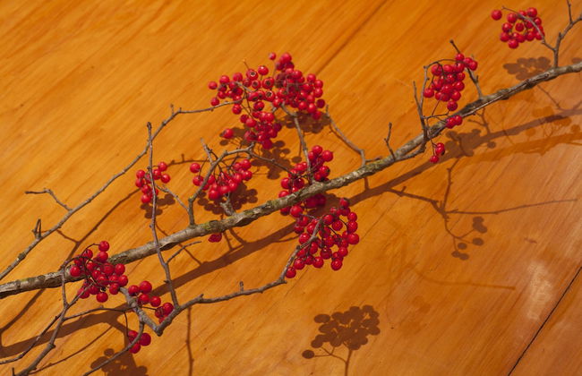 Whispering Waters - Foto 7