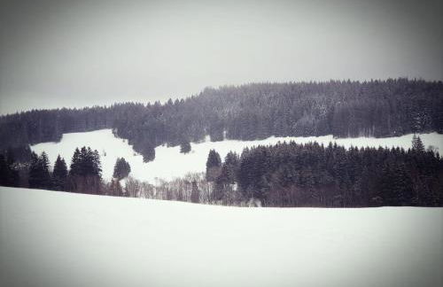 Allgäu Bergluft - Photo 56