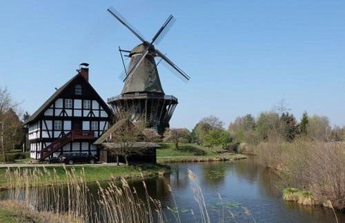 ChilliVanilli - Foto 13