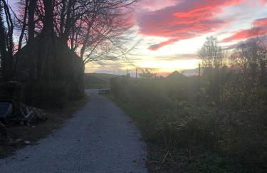 Beautiful Listed Mansion with incredible woodland views - Photo 35