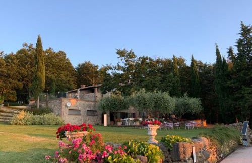 Villa Le Polle di Meletro - Apartments - Foto 5