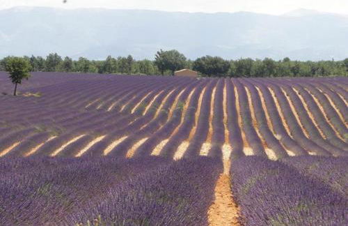 Villa in Hyères near Beach & Pool - Foto 38