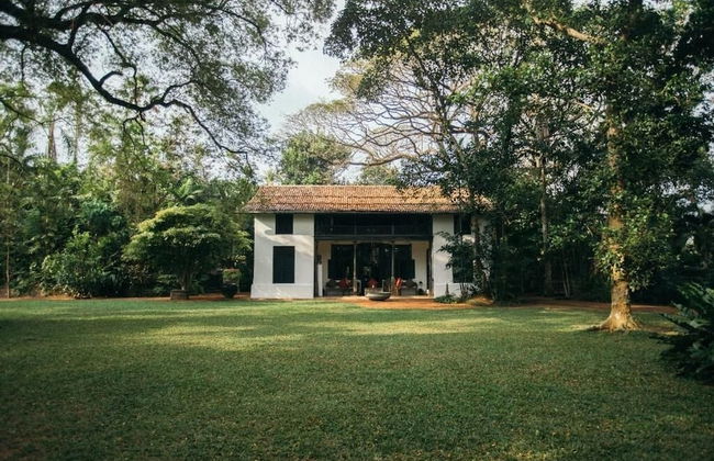 Boutique 87 - Photo 35