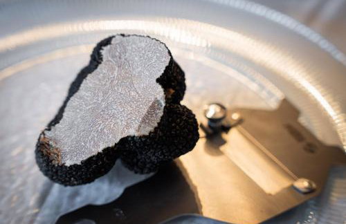 Holiday Home Belveder Motovun with heated pool - Foto 67