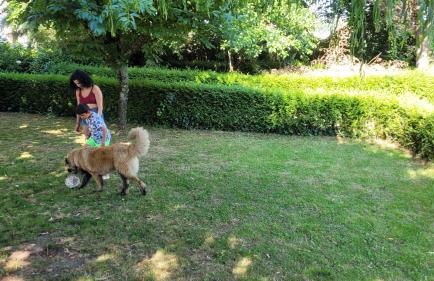 Casinhas das Tílias - Foto 24