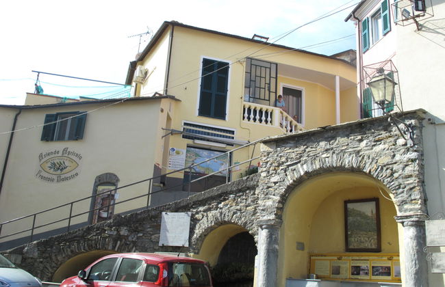 Arietta VLO150 - Foto 16