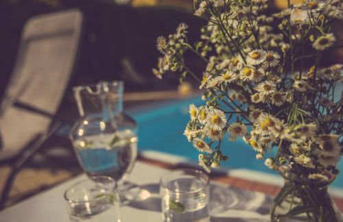 Agriturismo I Surì Asti - Foto 63