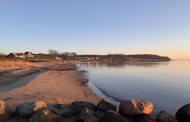 "Ovine" - 300m from the sea - Foto 5