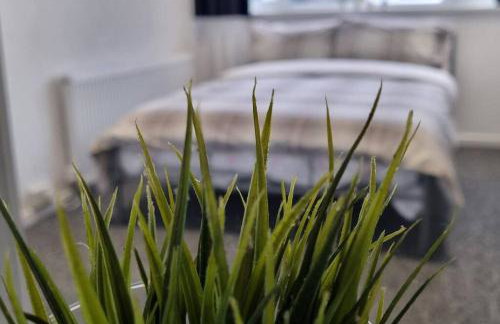 Your Home away from Home!-Comfy-Cosy - Foto 22