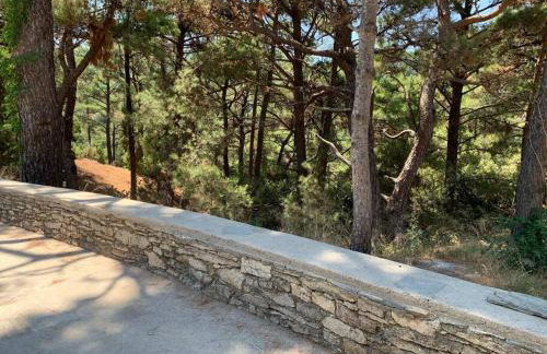 Despina Studios 4 beds with loft and kitchenette # 8 - Foto 21