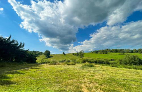 Domek Basiagówka - Foto 27