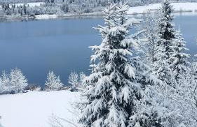 Refuge du Renard au Bord du Lac - Foto 20