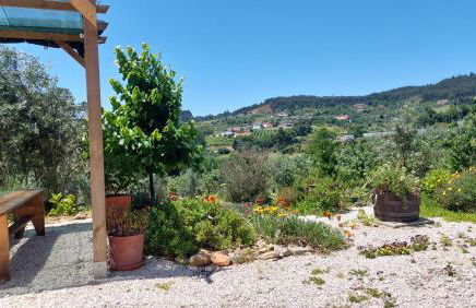 Quinta De Oliveiras - Foto 46