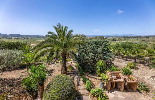 Finca Can Tomeu - Photo 9