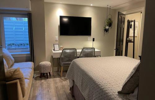 Modern Studio Basement with Private Entrance - Foto 12