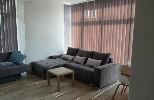 Apartamenty Kasztanowa Zator - Foto 39