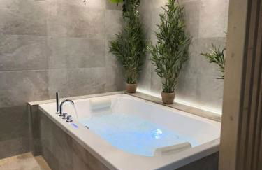 Spa - Sauna privatif plein centre - Photo 23