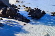 Sa Terra Mea - Luxury Apartment - Foto 36