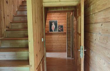 Mazurski oddech - Foto 24