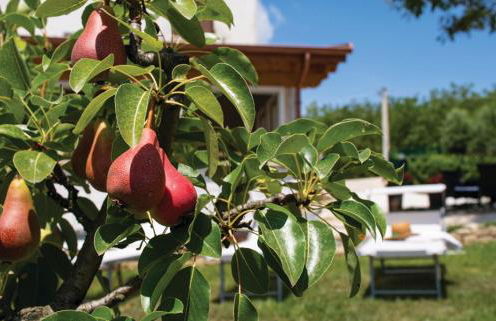 Country House Le Margherite - Foto 37