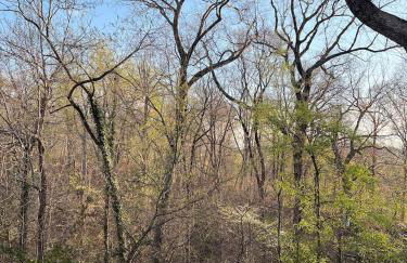 The Forest Door - Studio Suite in Stone Cottage - Foto 22