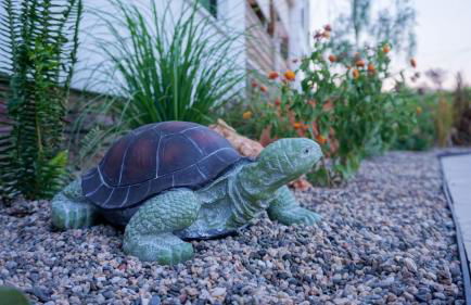 Alegria Suites - Foto 43