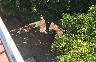 Casa do Mercador by Portus Alacer - Foto 10