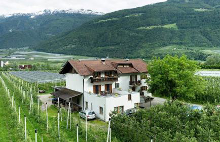 Bauernhof Sackgut - Foto 37