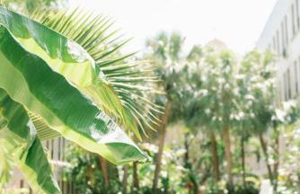 Hemingway Suites at Palm Beach Hotel Island - Photo 46