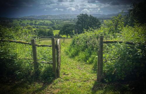 Canad Adar - Song of the Birds - Teifi Valley - Foto 17