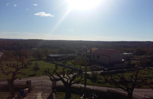 Apartman Aleks - Foto 13