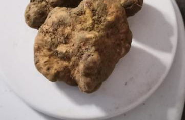 Casa San Rocco - Foto 16