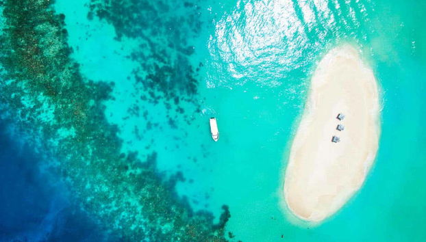 Maafushi Dolphin Watching and Snorkelling Half Day Tour - Foto 3