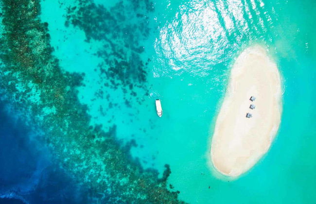 Snorkel en Maafushi + Avistamiento de delfines - Foto 3