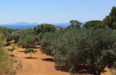 Koukounaries Studios - Foto 42