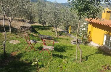 quinta vale da corga - Foto 7