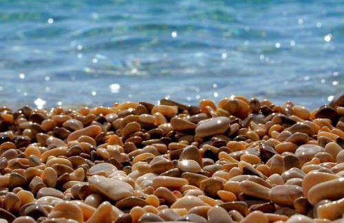 AriaDeMar - Photo 50